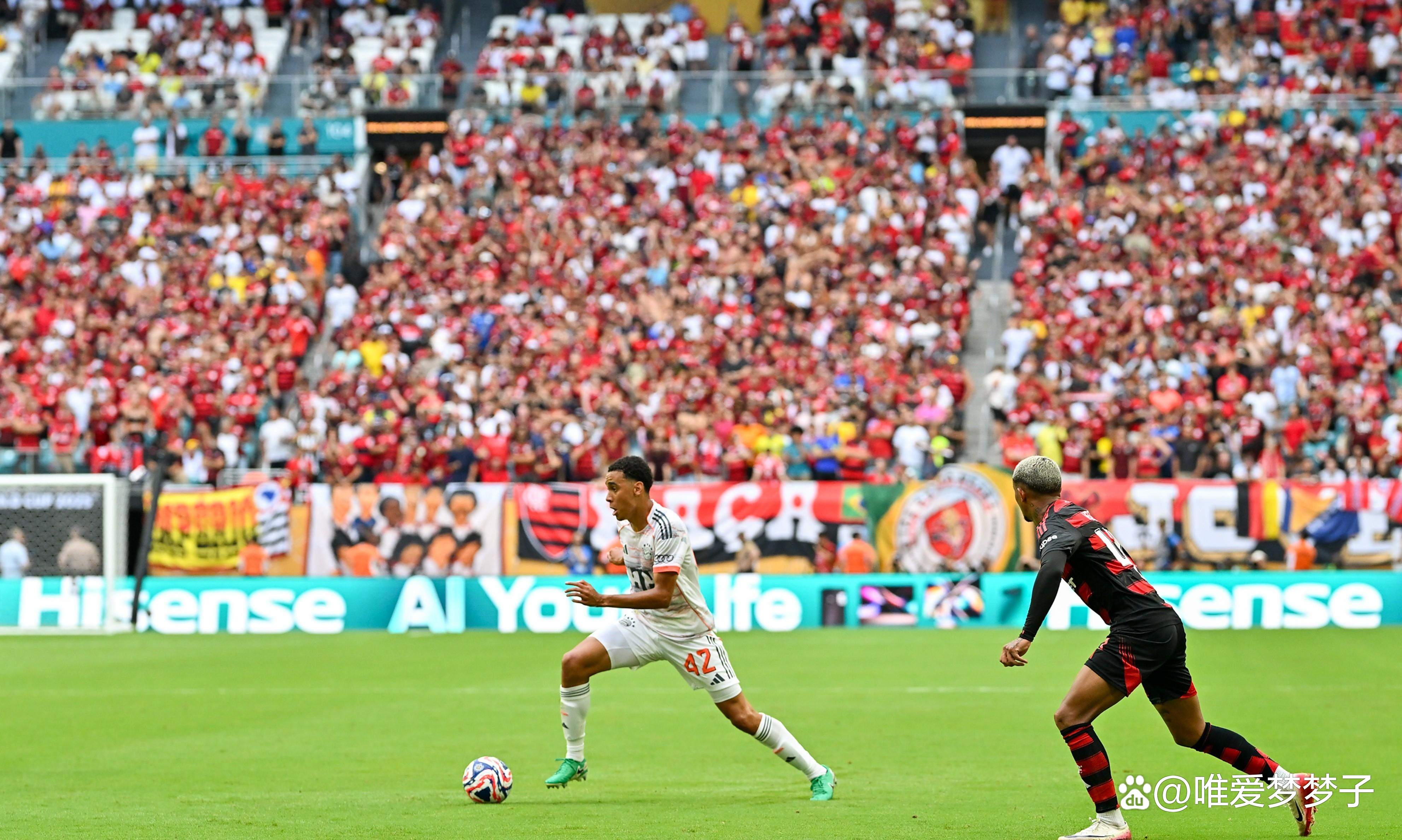 凯恩重返赛场，晋级下一阶段首场状态出色，塞尔维亚队观众沸腾！赛场气氛高涨的简单介绍